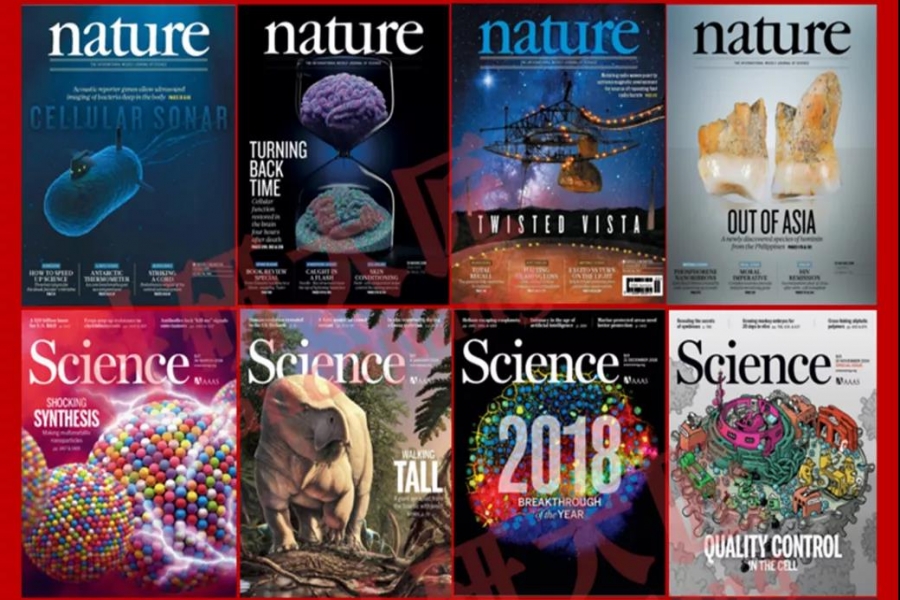 自然與科學中的流體力學